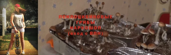прущая мука Арсеньев