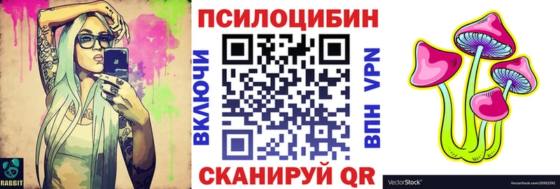 Псилоцибиновые грибы Cubensis Бабушкин