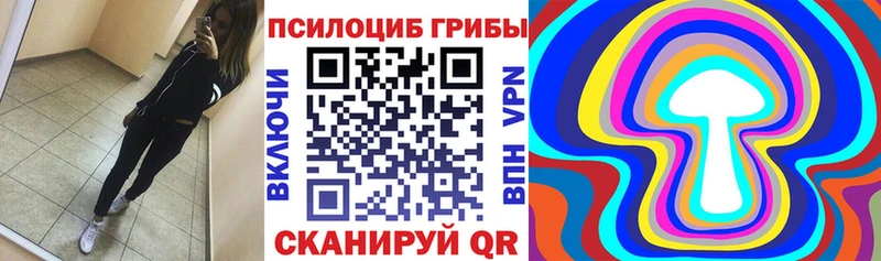 наркошоп Бабушкин Псилоцибиновые грибы Psilocybine cubensis